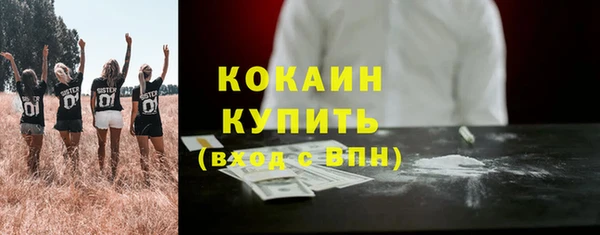а пвп мука Дмитриев