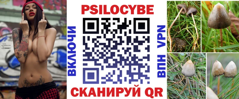 Псилоцибиновые грибы мухоморы где найти наркотики Рудня